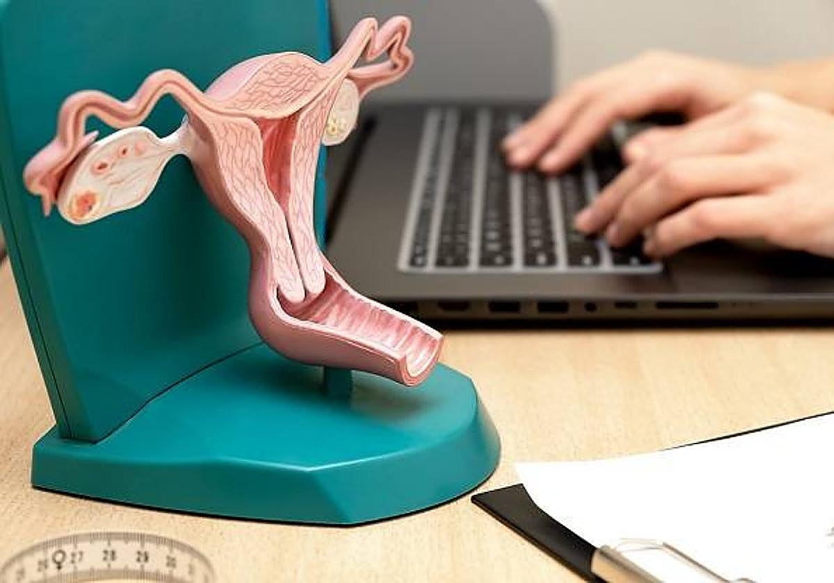 Prolapso vaginal Tratamiento en Quirónsalud Las Provincias